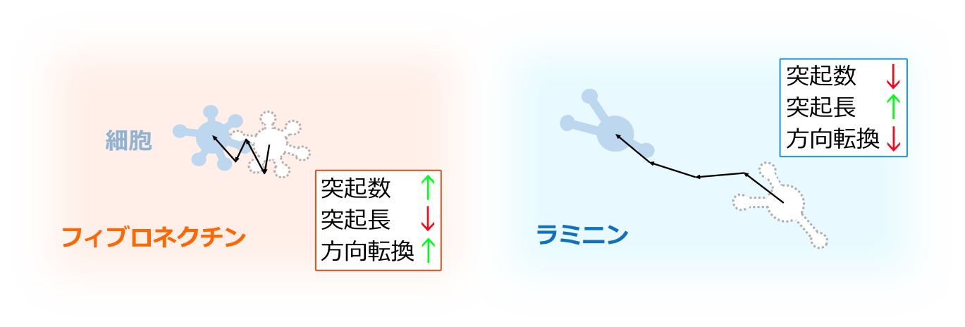 図1