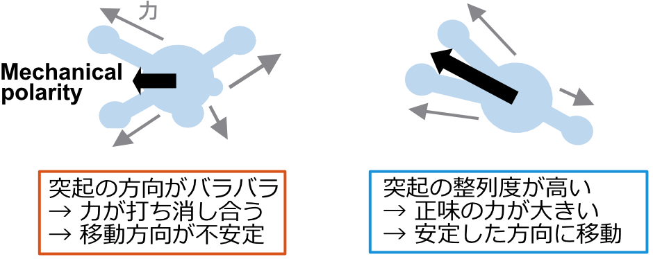 図2