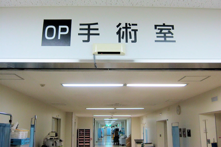 診療実績