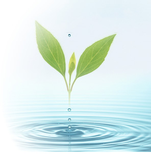 形成外科のご案内